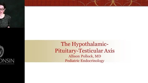 Thumbnail for Pollock - HPT Axis 2021