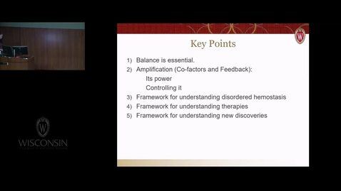 Thumbnail for Hemostasis