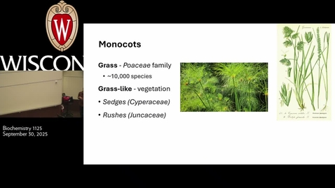 Thumbnail for Grassland Ecology - 09/30/25 (Mod 3, Week 5)