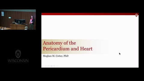 Thumbnail for BIB - REC Anatomy of the Pericardium Heart