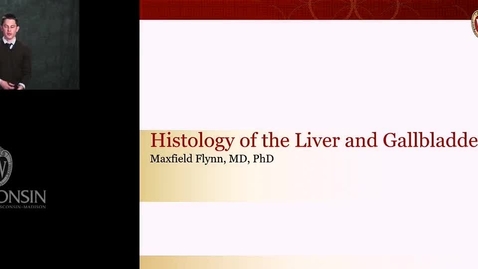 Thumbnail for Flynn - Histology of the Liver and Gallbladder