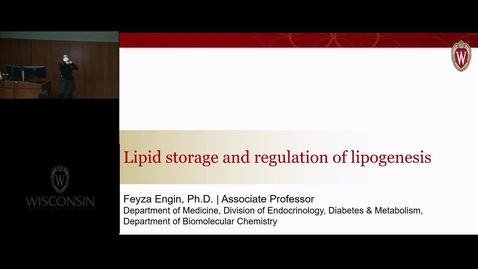 Thumbnail for Fat Storage and Regulation