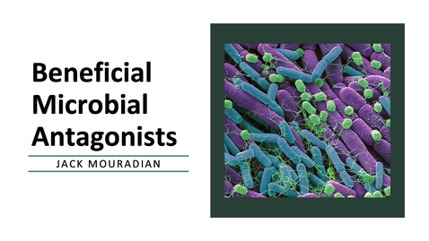 Thumbnail for T8_V3_Beneficial Microbial Antagonists_Mouradian_V1
