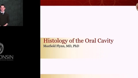 Thumbnail for Flynn - Histology of the Oral Cavity