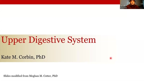 Thumbnail for Anatomy