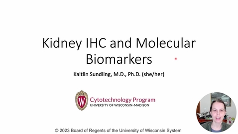 Thumbnail for entry Genetics 573 Kidney IHC and Molecular Biomarkers