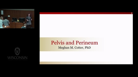 Thumbnail for HFT - REC Pelvis Perineum