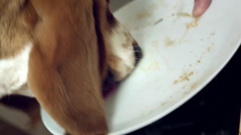 Thumbnail for Maytag Man Commercial - Dog Dishes - Maytag Brand