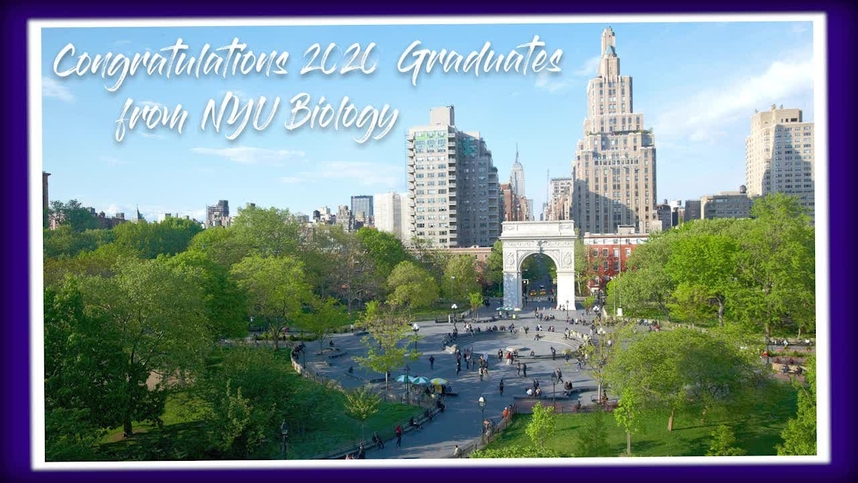 Nyu Biology Courses A Guide To Navigating The Undergraduate