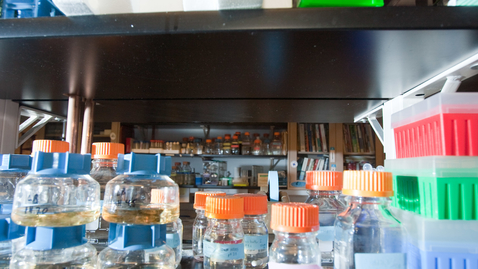 Thumbnail for Mobley lab