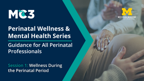 Thumbnail for Session 1: Wellness During the Perinatal Period | Perinatal Wellness &amp; Mental Health Series
