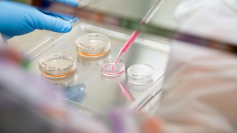 Thumbnail for NCRC lab equipment