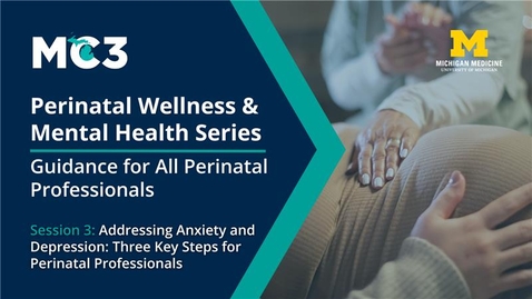 Thumbnail for Session 3: Addressing Anxiety and Depression: Three Key Steps for Perinatal Professionals | Perinatal Wellness &amp; Mental Health