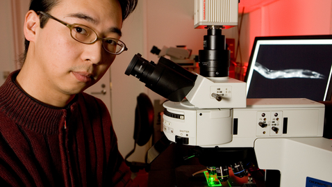 Thumbnail for Allen Hsu, Ph.D.