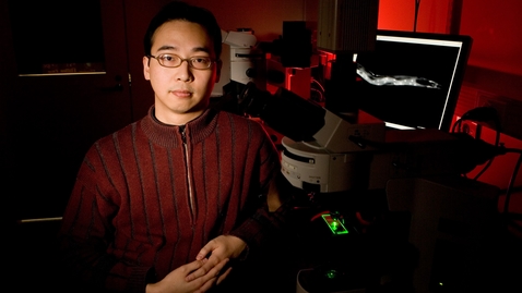 Thumbnail for Allen Hsu, Ph.D.