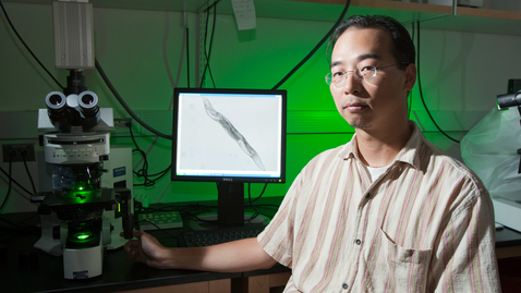Thumbnail for Allen Hsu, Ph.D.