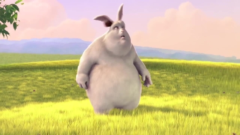Thumbnail for Sample_Big_Buck_Bunny_Trailer_(HD)_(Source).flv - Quiz