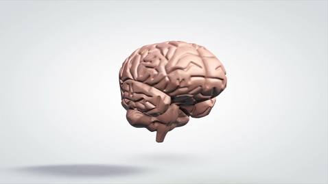 Thumbnail for 3D rotating anatomical brain