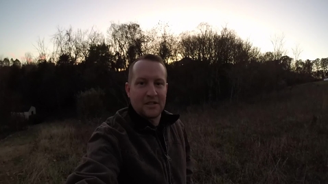 Thumbnail for Mr. Nature