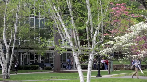 Thumbnail for Why Wheaton