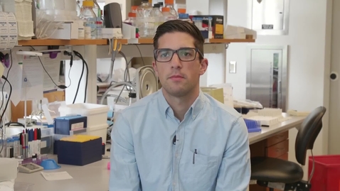 Thumbnail for Research Powerhouse Philip Feinberg