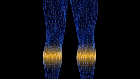 Thumbnail for 3D model human anatomy scan rotating from bottom up