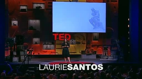 Thumbnail for Laurie Santos - A monkey economy as irrational as ours