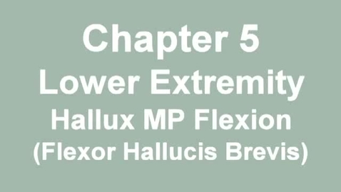 Thumbnail for MMT_foot_hallux_mp_flexion