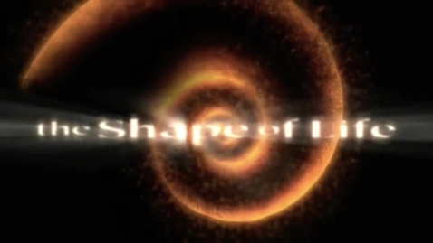 Thumbnail for Shape of Life - Annelids- Powerful and Capable Worms