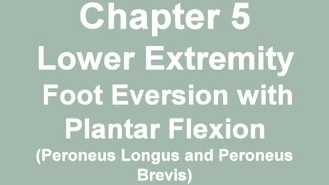 Thumbnail for entry MMT_ankle_eversion_plantarflex