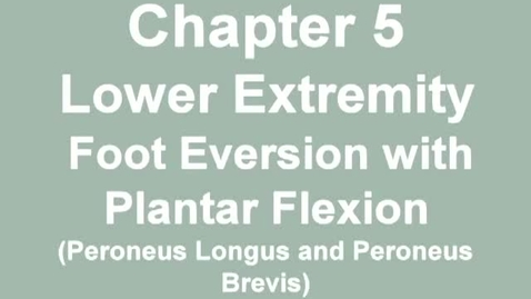 Thumbnail for MMT_ankle_eversion_plantarflex