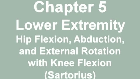 Thumbnail for entry MMT_hip_flexion-sartorius