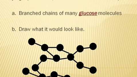 Thumbnail for entry Polysaccharide Glycogen