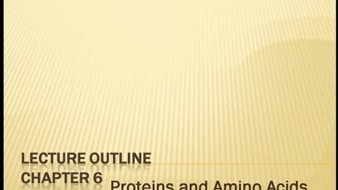 Thumbnail for Proteins and Amino Acids