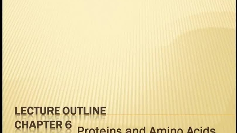 Thumbnail for entry Proteins and Amino Acids