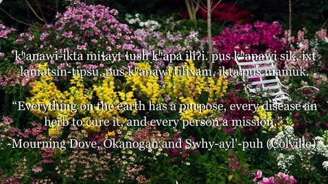 Thumbnail for Chinuk Wawa Phrase of the Week 22
