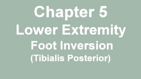 Thumbnail for MMT_ankle_inversion
