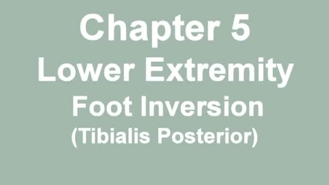 Thumbnail for entry MMT_ankle_inversion