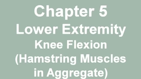Thumbnail for MMT_knee_flexion_combined