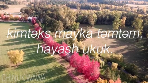 Thumbnail for Chinuk Wawa Phrase of the Week 6