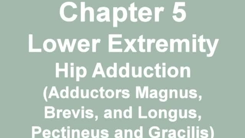 Thumbnail for MMT hip adduction