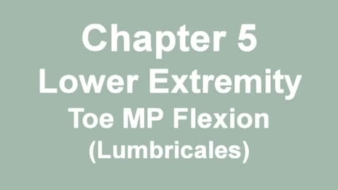 Thumbnail for MMT_foot_toe_mp_flexion