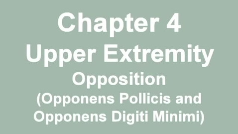 Thumbnail for MMT_finger-thumb_opposition