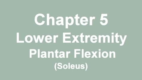Thumbnail for MMT_ankle_plantarflexion_soleus