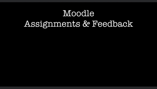 Submitting Assignments and Viewing Feedback