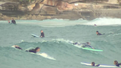 Ungewohnliche Bilder Aus Australien Hunderte Surfer Und Schwimmer Sturmen Strand Ausland rgauer Zeitung