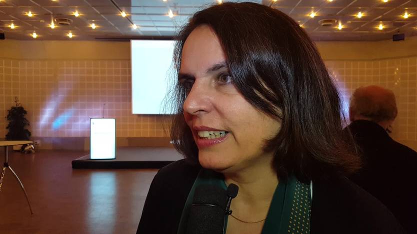 Elisabeth Ackermann Ich Will Die Position Von Basel In Der Schweiz Starken Basel Stadt Basel Aargauer Zeitung