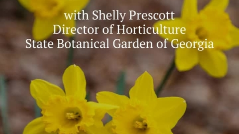 Thumbnail for Botanical Garden: Caring for Spring Bulbs