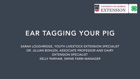 Thumbnail for Tagging Your Pig