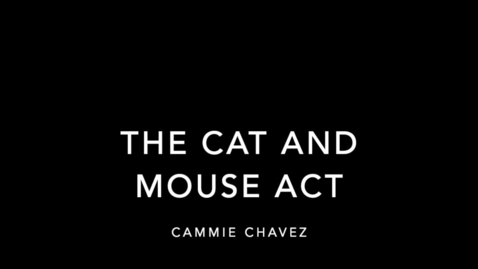 Thumbnail for entry Gallery Highlight: The Cat and Mouse Act